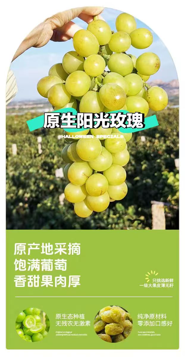 Sunshine Rose Raisins 阳光玫瑰葡萄干