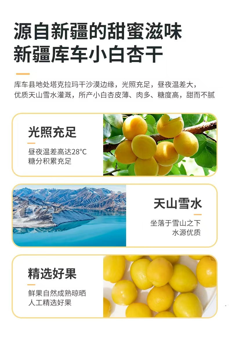 Little White Apricots 新疆小白杏干