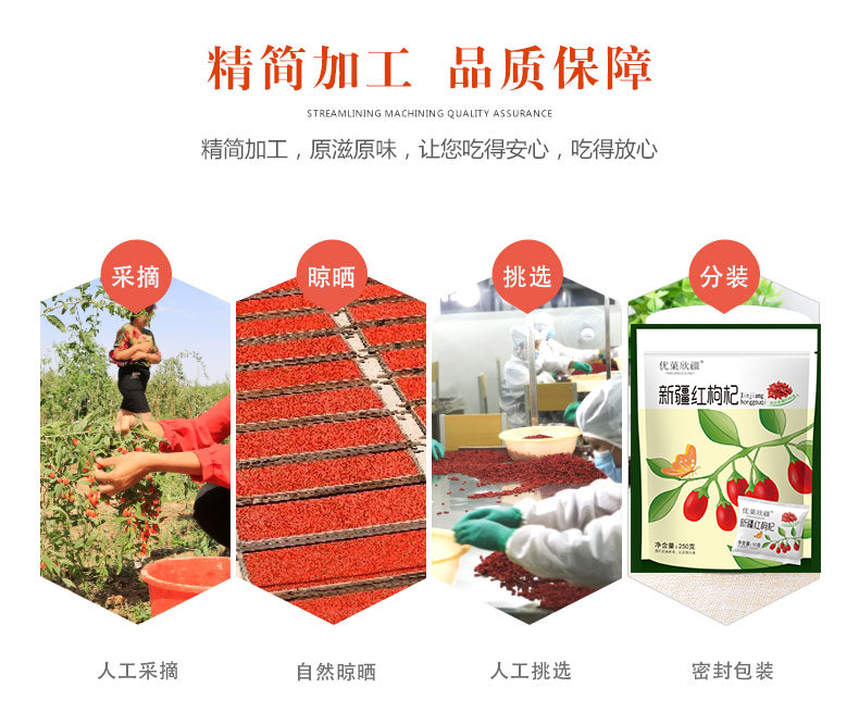 Jinghe Red Goji 新疆精河红枸杞