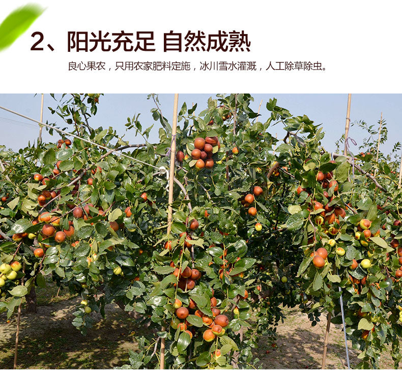 Ruoqiang Grey Jujubes 若羌精选灰枣